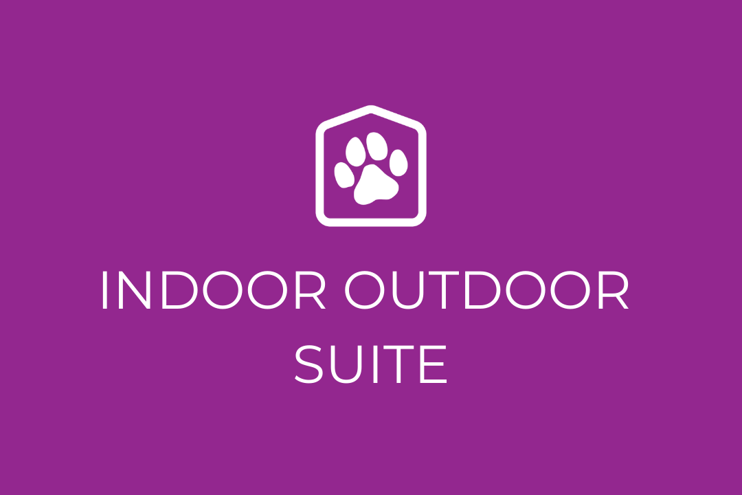 Indoor Outdoor Suite