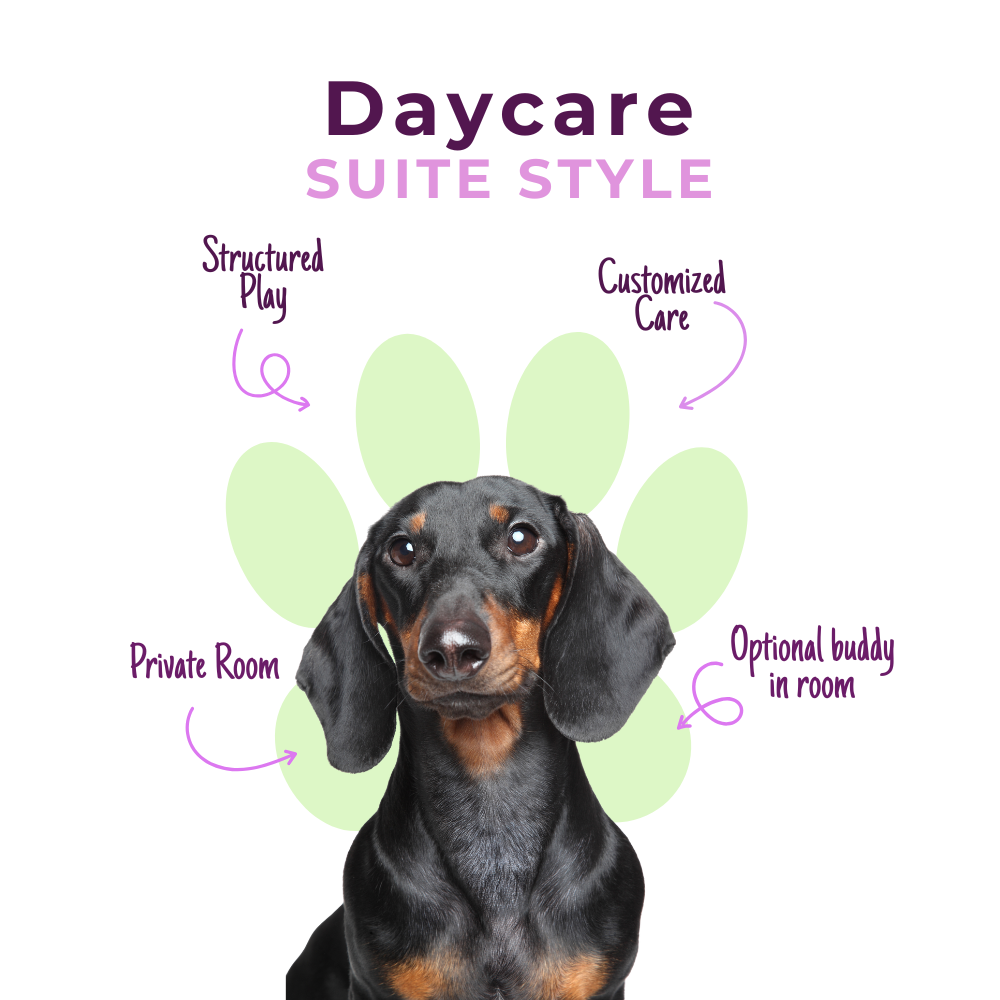 Daycare