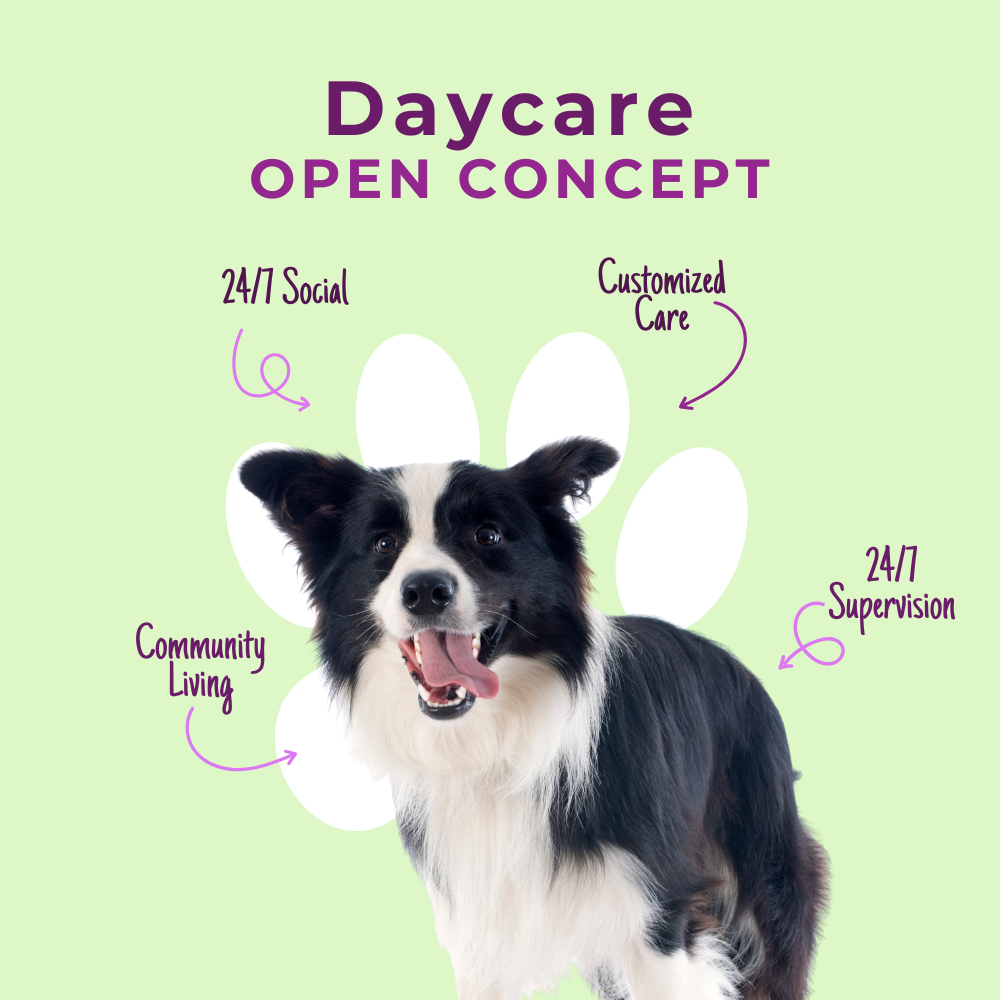 Daycare | Open-Concept