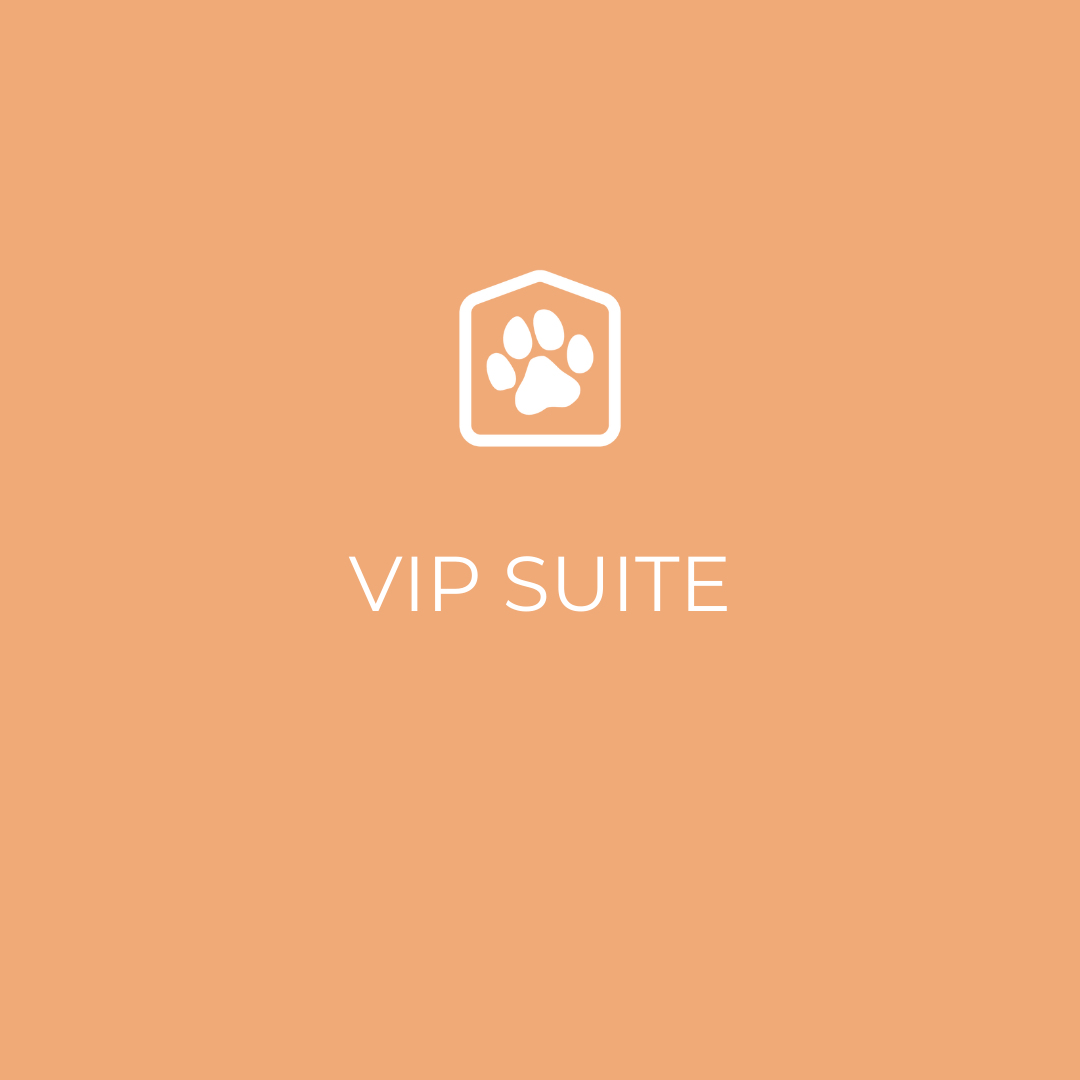 VIP Suite