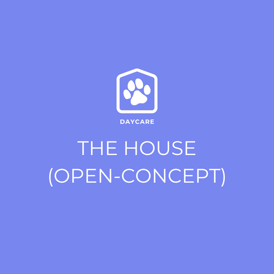House Daycare (Open-Concept)