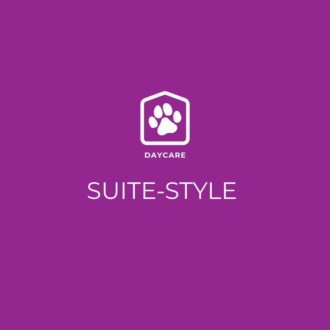 Suite-style Daycare