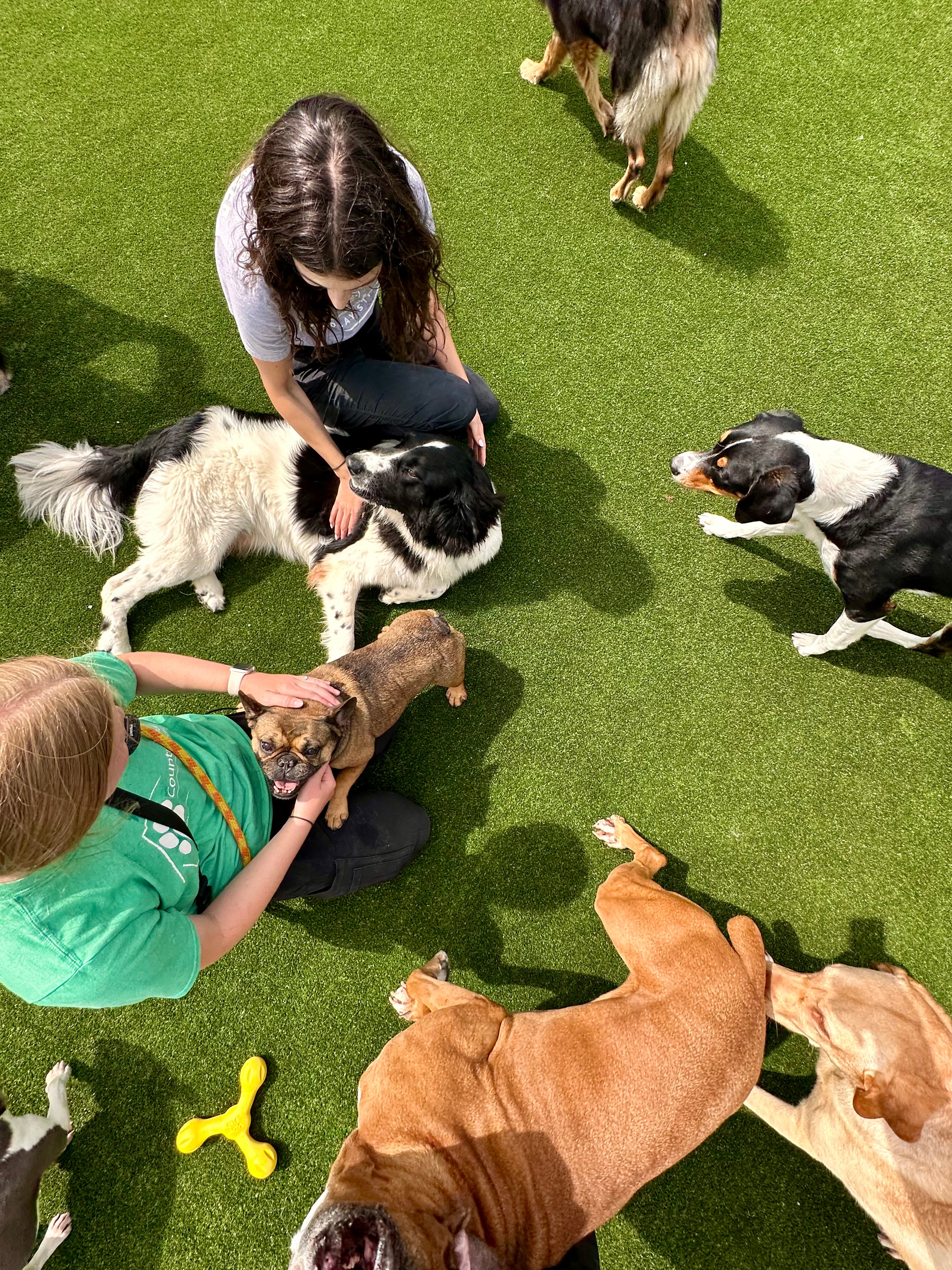Daycare