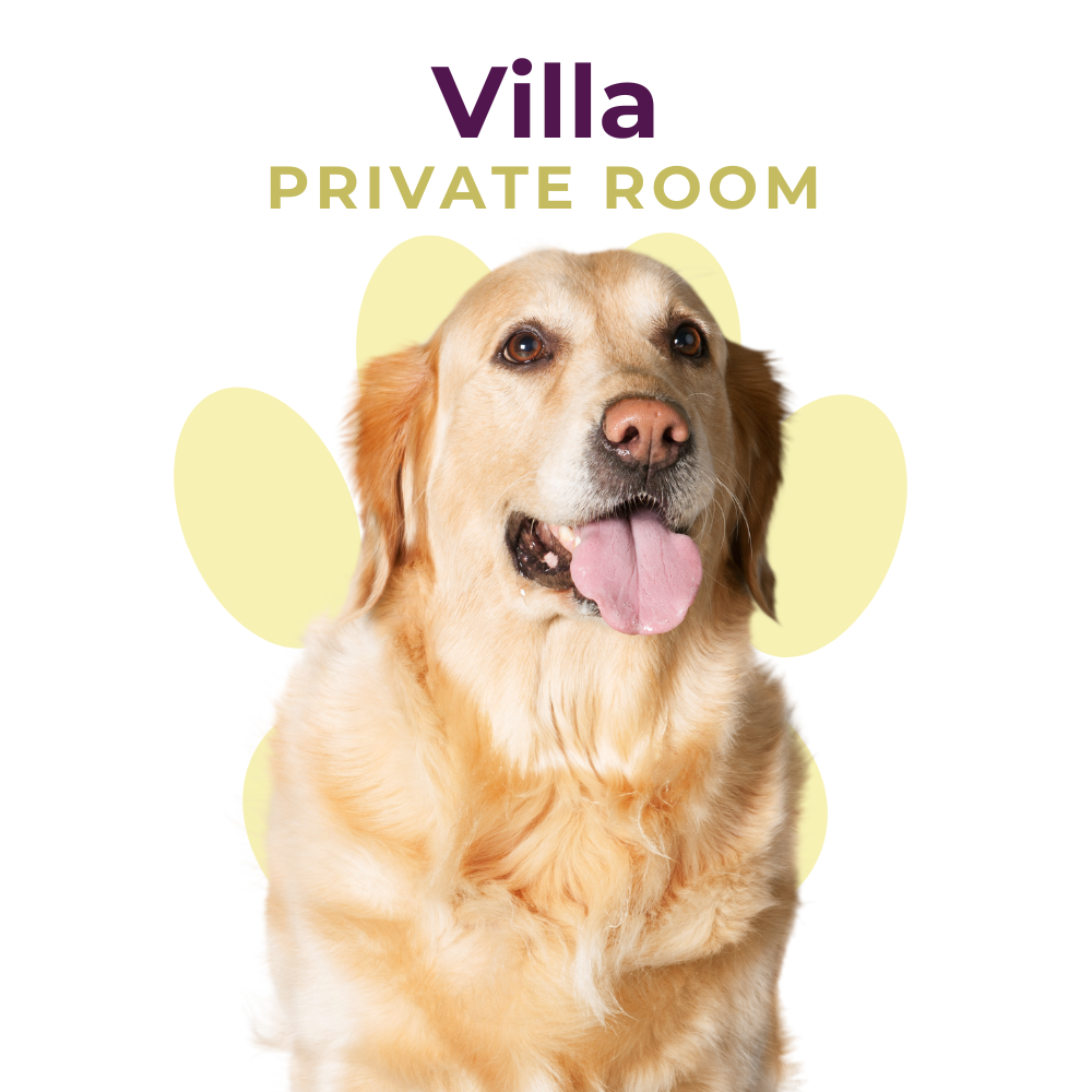 Boarding | Villa