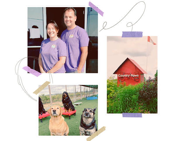 A collage of three photos clipped together on a white background: a smiling couple wearing matching purple shirts, two dogs standing outdoors, and a red doghouse with the words 'Country Paws' visible on it.