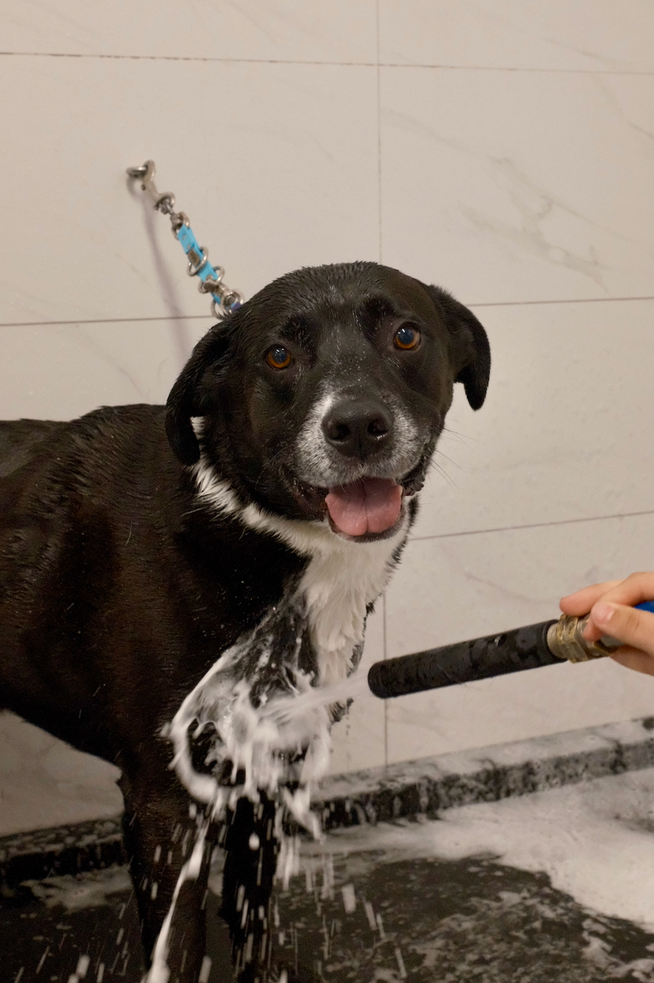 Just a Bath