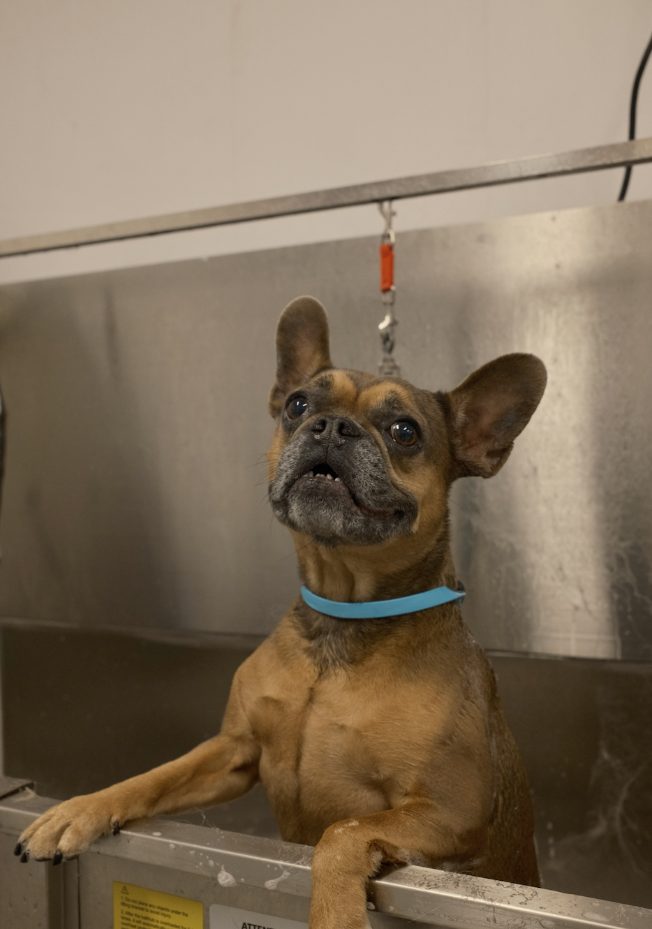 Just a Bath