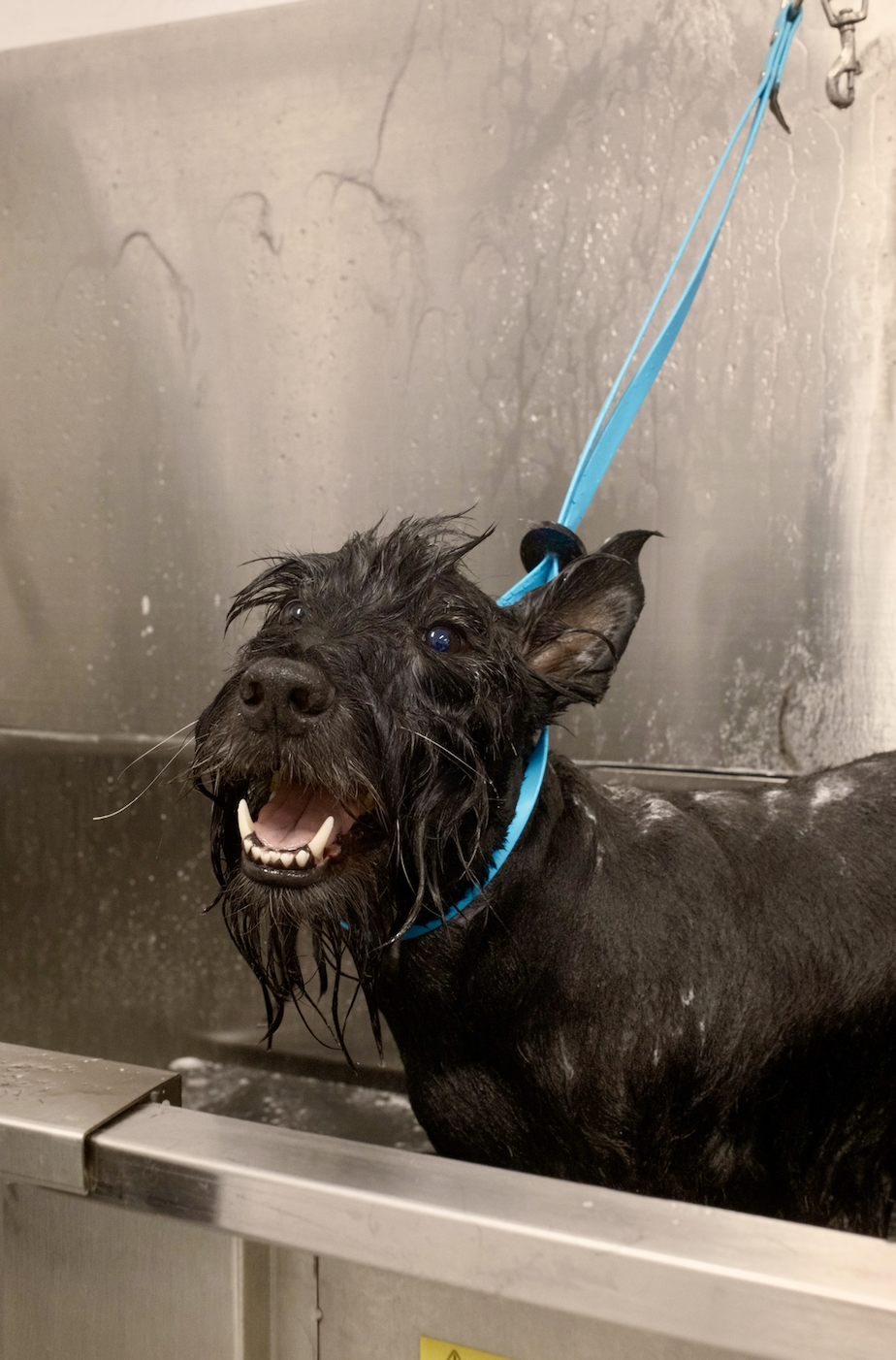 Just a Bath