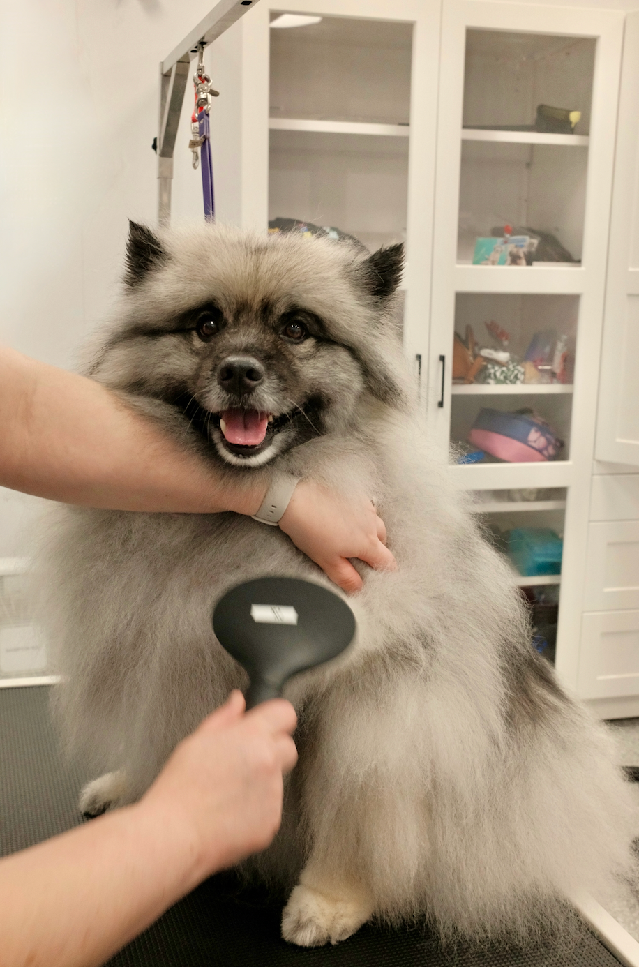 Bath & Trim