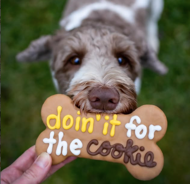 Dog holding a bone-shaped cookie with 'doin' it for the cookie' text against a grassy background
