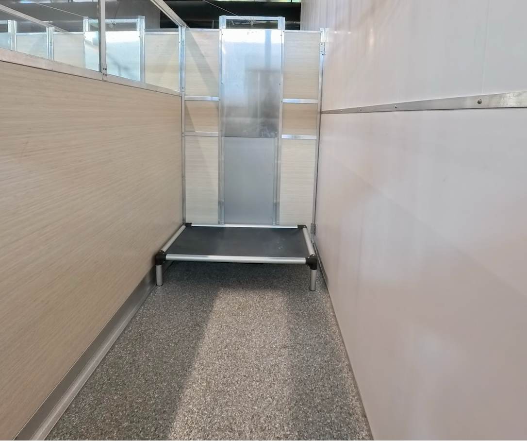 Boarding | Suite