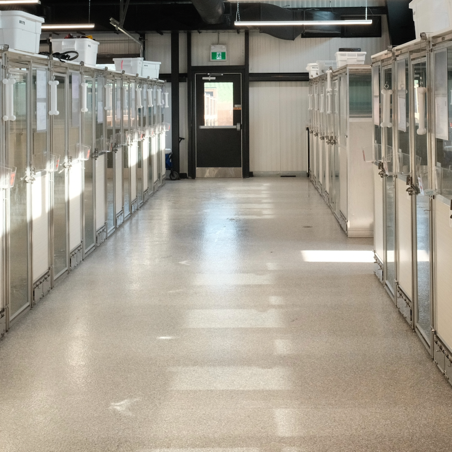 row of suites with door at end 