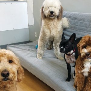 DAYCARE - HOUSE