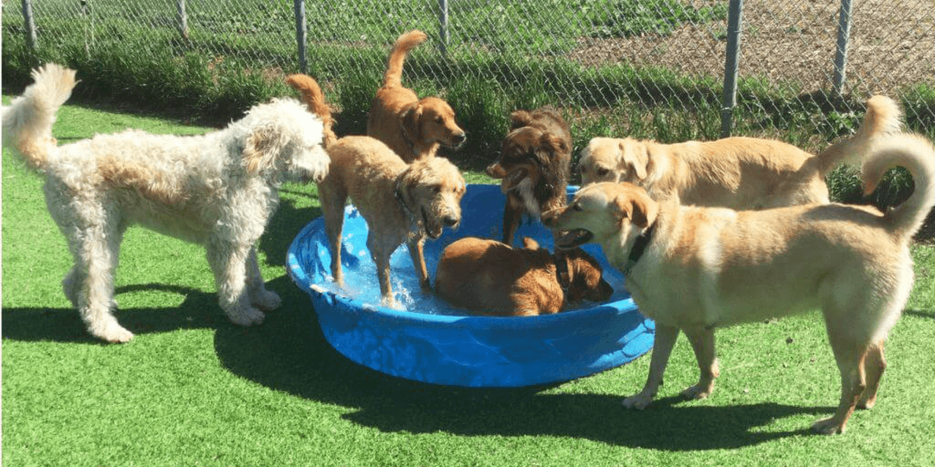 MEET NEW FRIENDS!
